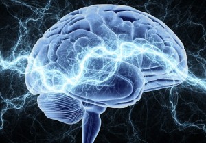 Цікаві факти про  людський мозок