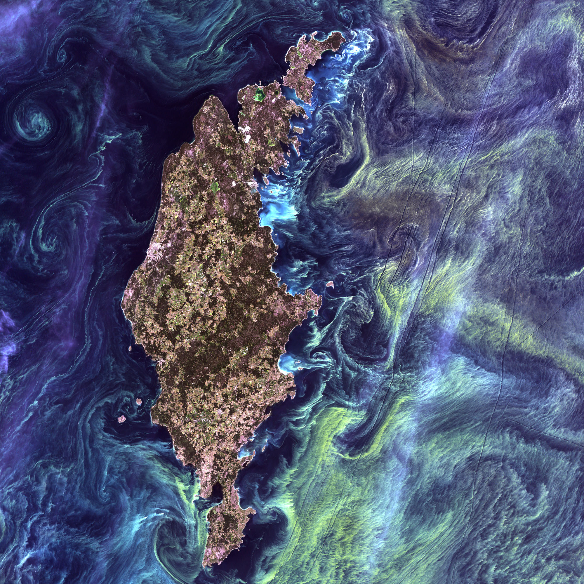 Земля як мистецтво -  фотографії зі супутника Landsat