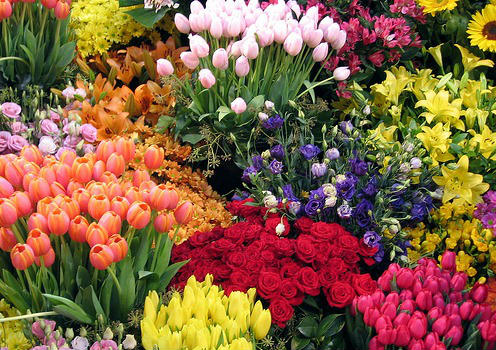 Цікаво про квіти від flowerstore.org.ua
