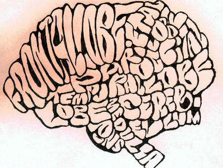 Як вивчення іноземних мов впливає на мозок людини?