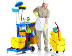 cleaning-img_250