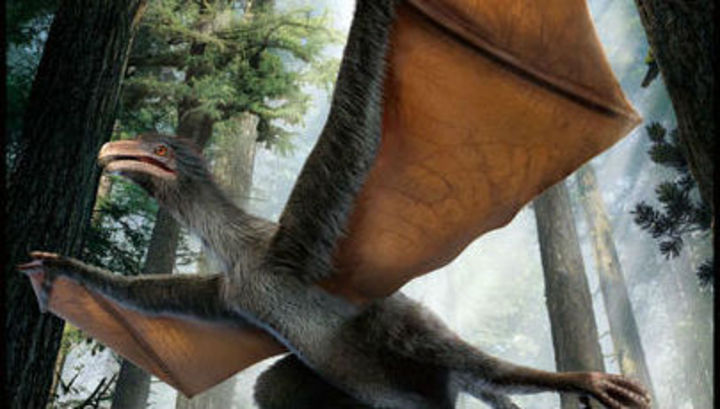 У Китаї знайдений динозавр, схожий на кажана