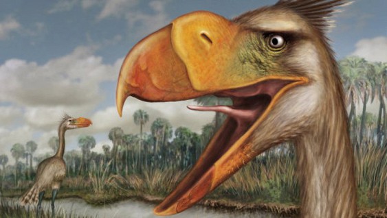 Після зникнення динозаврів на Землі домінували гігантські птахи