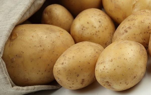 факти про картоплю
