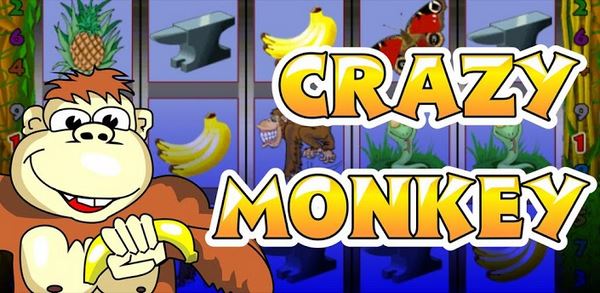 crazy monkey slot