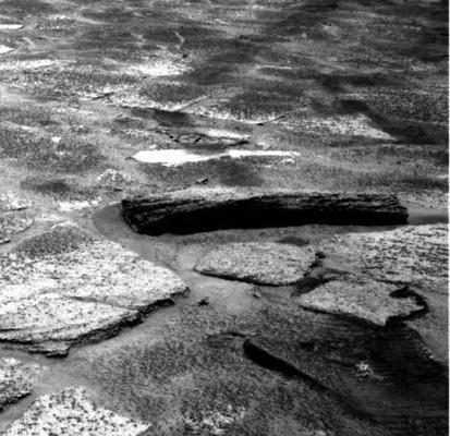 На Марсе обнаружили засохшее дерево