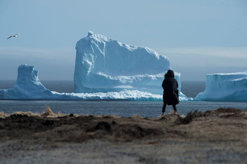 Парад айсбергов в канадском городке потряс интернет