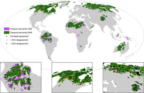 Составлены карты потерь девственных лесов Земли
