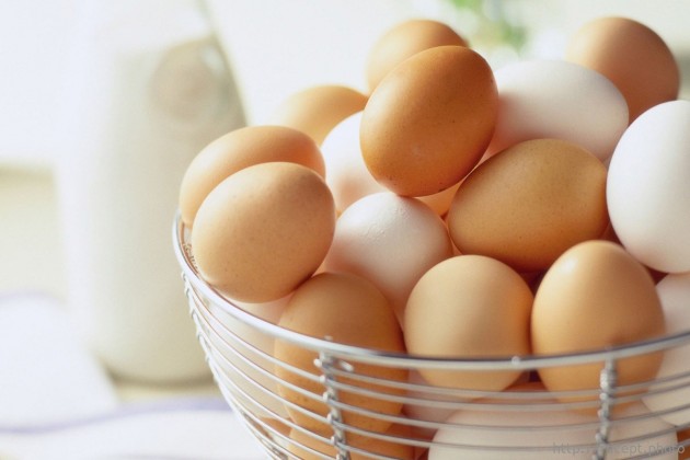 В Японии из белков куриных яиц ученые сделали новый вид топлива