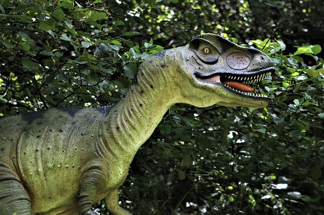 Ученые выяснили, как большие динозавры высиживали свои яйца