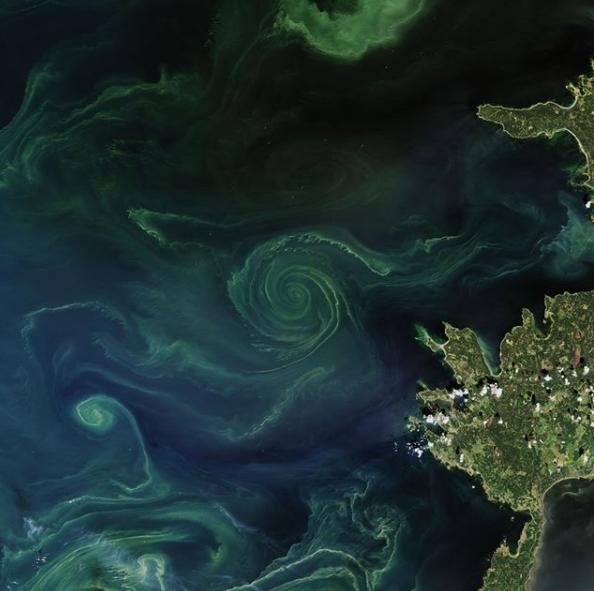 NASA поделилось завораживающим снимком Балтийского моря со спутника