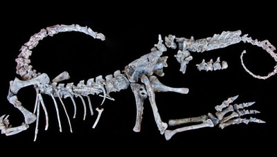 Уникальные окаменелости могут рассказать, как динозавры стали настолько большими