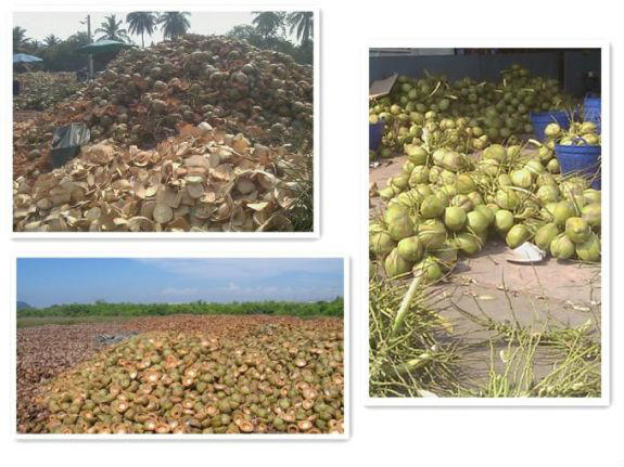 Електроенергія з кокосових відходів