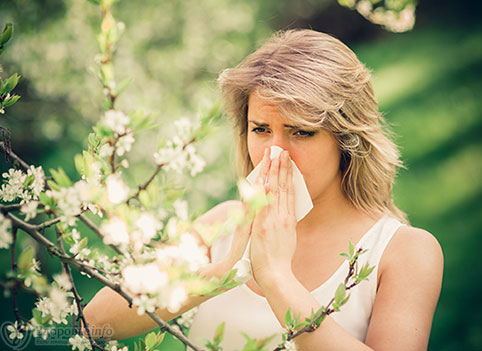Три міфи про алергію