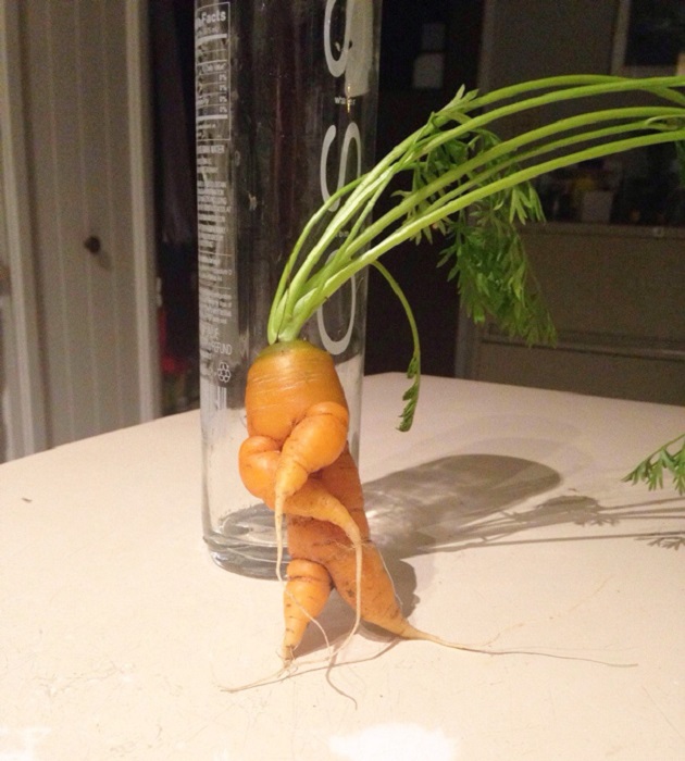 Это морковный рэп, детка!