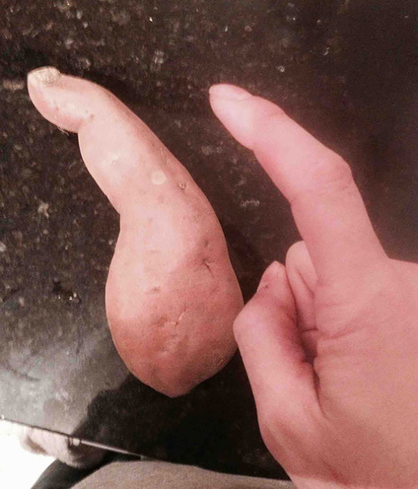 Картофель в форме пальца.