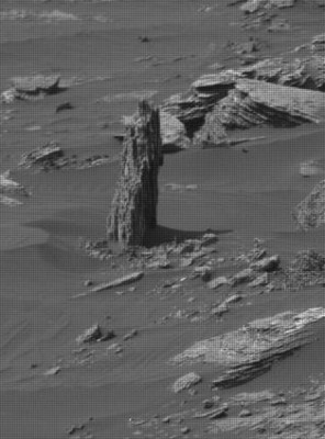 На Марсе обнаружили засохшее дерево