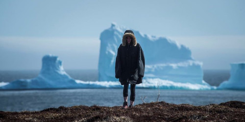 Парад айсбергов в канадском городке потряс интернет
