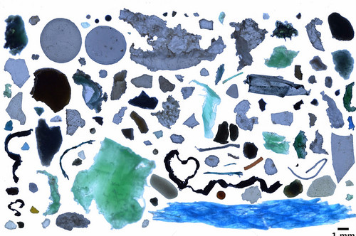 Новое «Большое мусорное пятно» появится в Северном Ледовитом океане