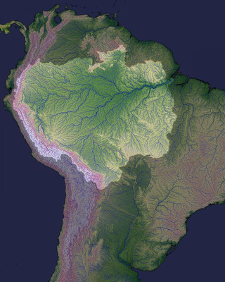 Строительство плотин разрушает экологию бассейна Амазонки