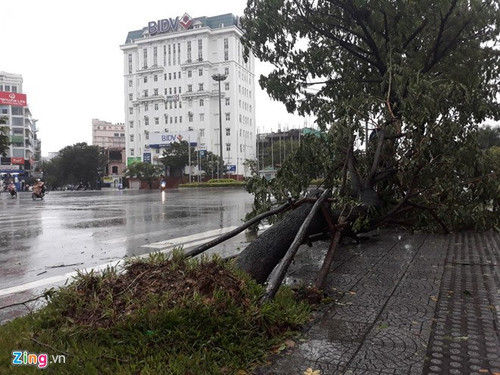 Последствия тайфуна "Доксури" во вьетнаме