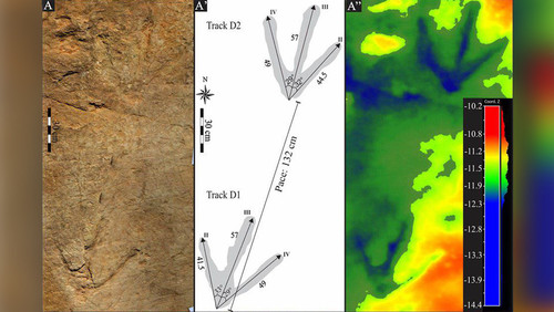 В Африке обнаружены следы ранее неизвестного науке гигантского ящера