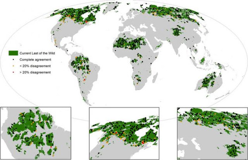 Составлены карты потерь девственных лесов Земли