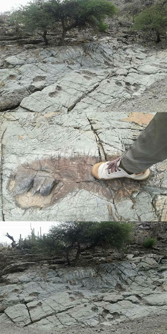 В Боливии обнаружил огромные следы гигантов