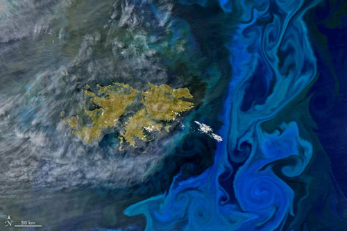 Цветение водорослей в Южной Атлантике на фото со спутника