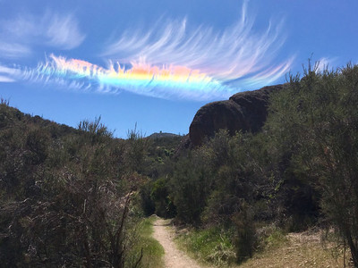 Небо над Калифорнией украсила редкая «огненная радуга»