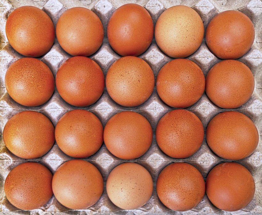 Яйца снижают развитие сердечных недугов и вероятность ранней смерти