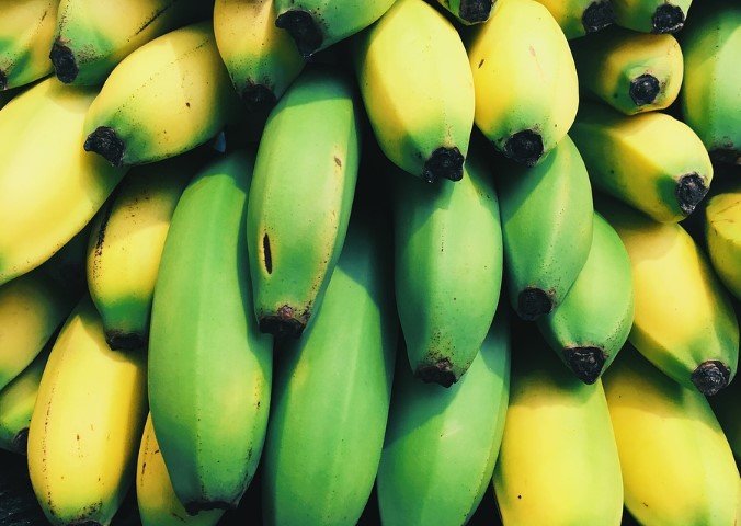 Ученые планируют выращивать искусственные бананы и производить кофе без кофеина