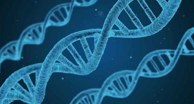 Ученые назвали консервант, меняющий ДНК человека
