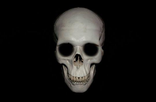 Ученые выяснили, почему у современных людей круглые черепа