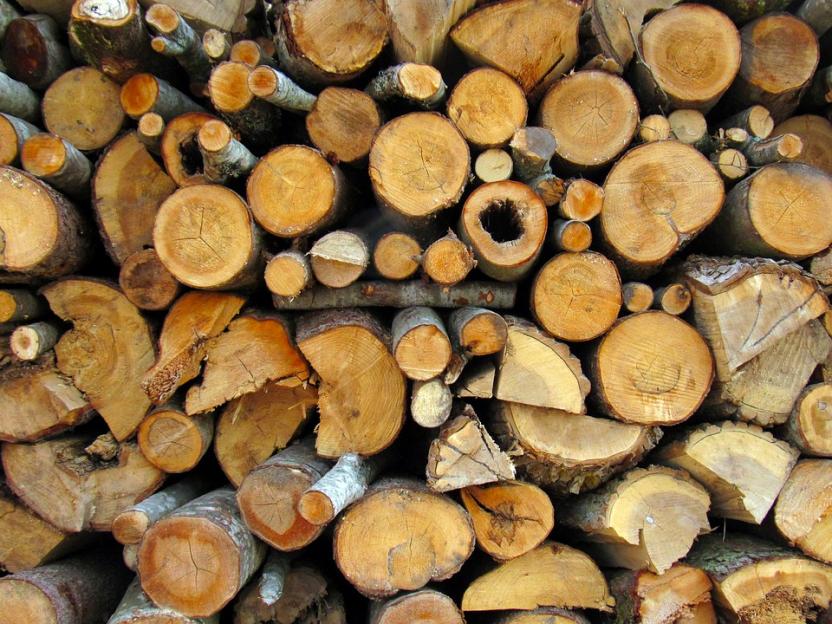 Ученые создали устойчивый к температурам аналог древесины