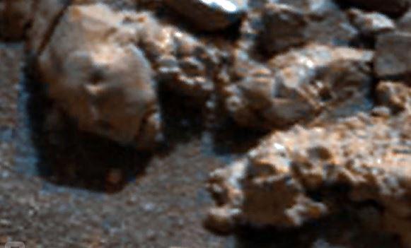 На Марсе обнаружены два чужеродных черепа и кактус