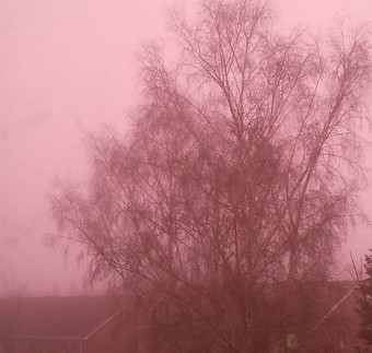 На Великобританию опустился розовый туман