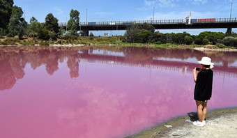 Секреты розового озера, которое меняет цвет