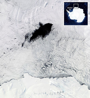 Климатические аномалии создают гигантские дыры во льдах Антарктики
