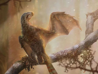 Китай — родина летающих динозавров