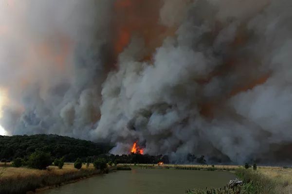 Лесные пожары затормозят глобальное потепление?
