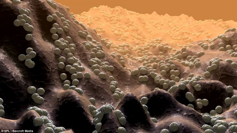 Невероятные изображения чужеродных форм жизни в организме человека 