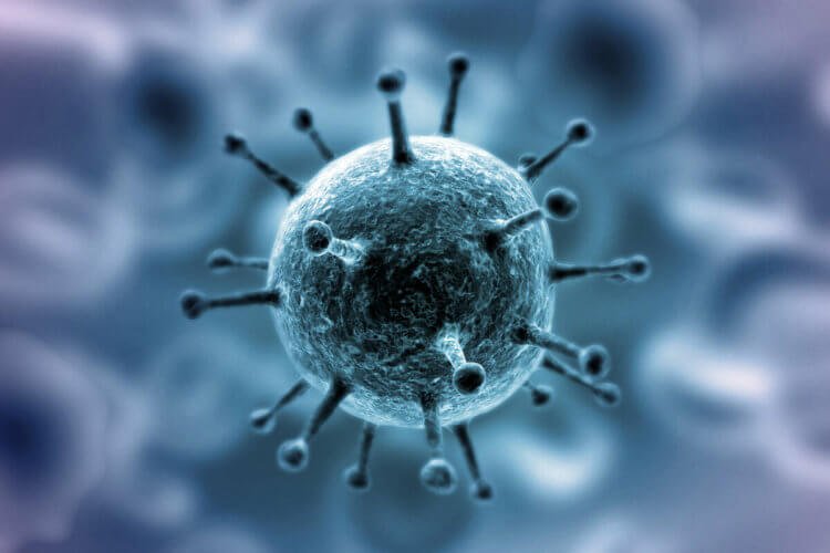 Что происходит в организме, когда его атакует коронавирус?