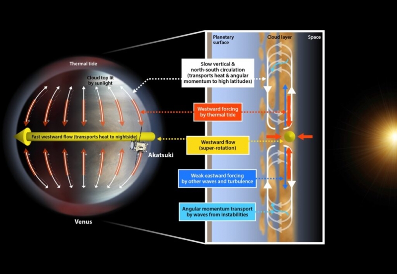 Супервращение атмосферы на Венере объяснили термическими приливами 