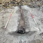 Римська дерев'яна труба - Місто Левен