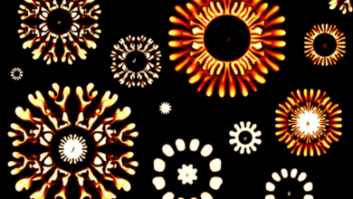 Fingering layers are produced by alternative injection of two fluids, i.e., a more viscous dark fluid and a less viscous transparent fluid. The patterns resemble fireworks in the dark sky. Credit: Physical Review Letters.