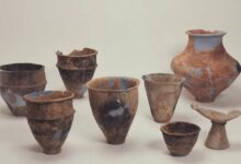 Yayoi pottery confirm that both crops were present in early farming settlements in Northern Kyushu. Credit: Fukuoka City Education Board