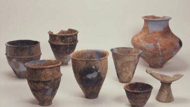 Yayoi pottery confirm that both crops were present in early farming settlements in Northern Kyushu. Credit: Fukuoka City Education Board