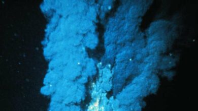 Шлейфи, що піднімаються з гідротермальних джерел в Атлантичному океані. Фото: P. Rona / OAR / Національна програма підводних досліджень; NOAA