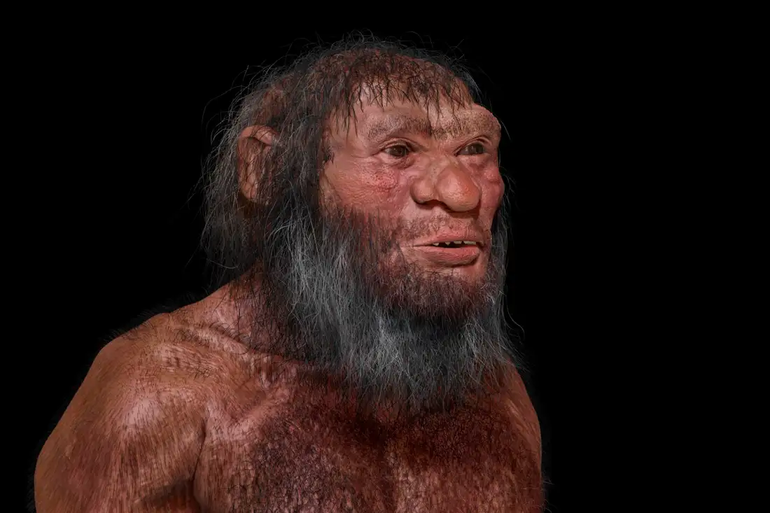 Homo longi може стати офіційною назвою денисовців